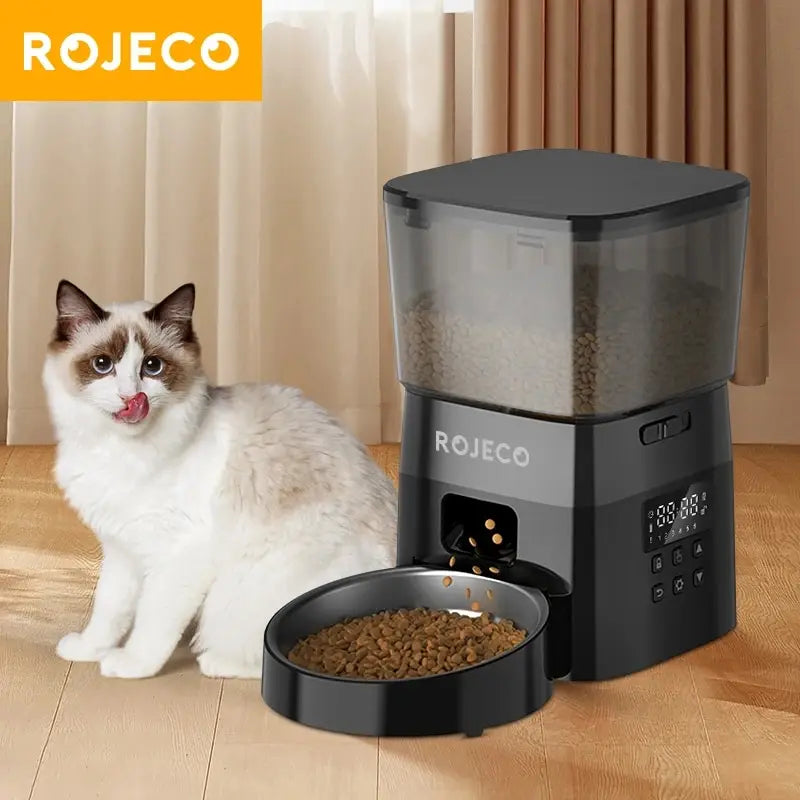 Feeding Accessories | Make Mealtime Easy for Your Pet 🐶🐱🐾