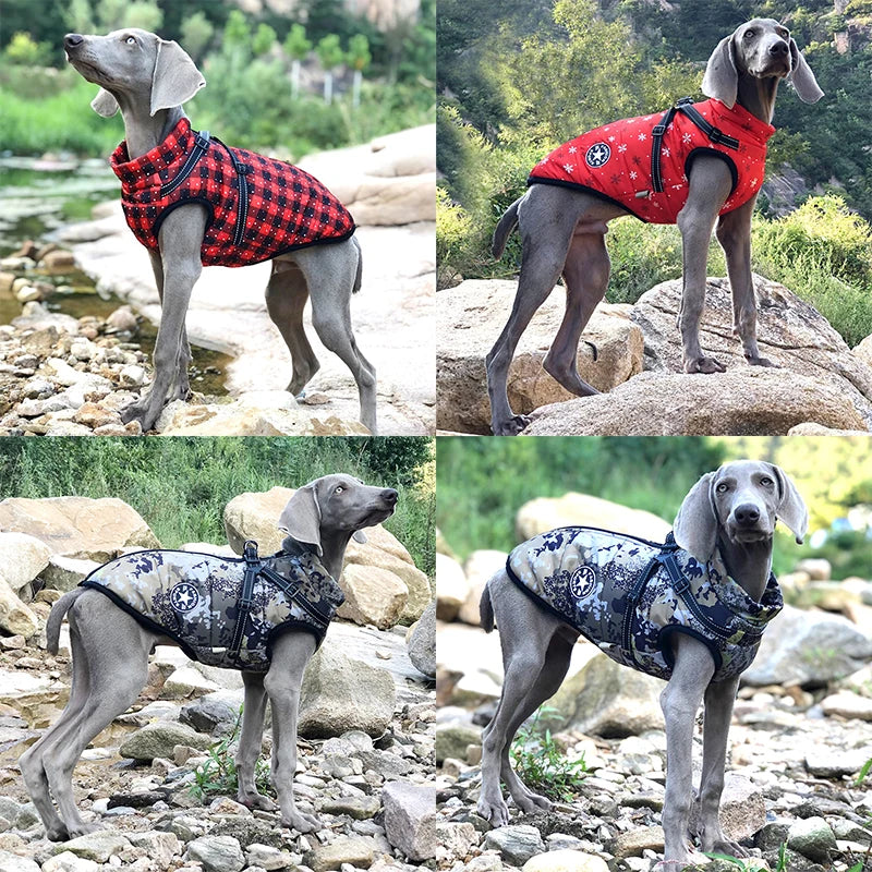 waterproof dog coat jacket 4 jackets