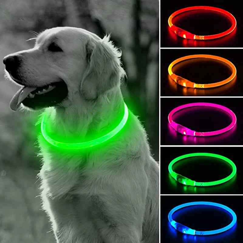 Shine Bright, Walk Safe: The Ultimate LED Glowing Dog/ Cat Collar ✨ - Wags & Whiskers