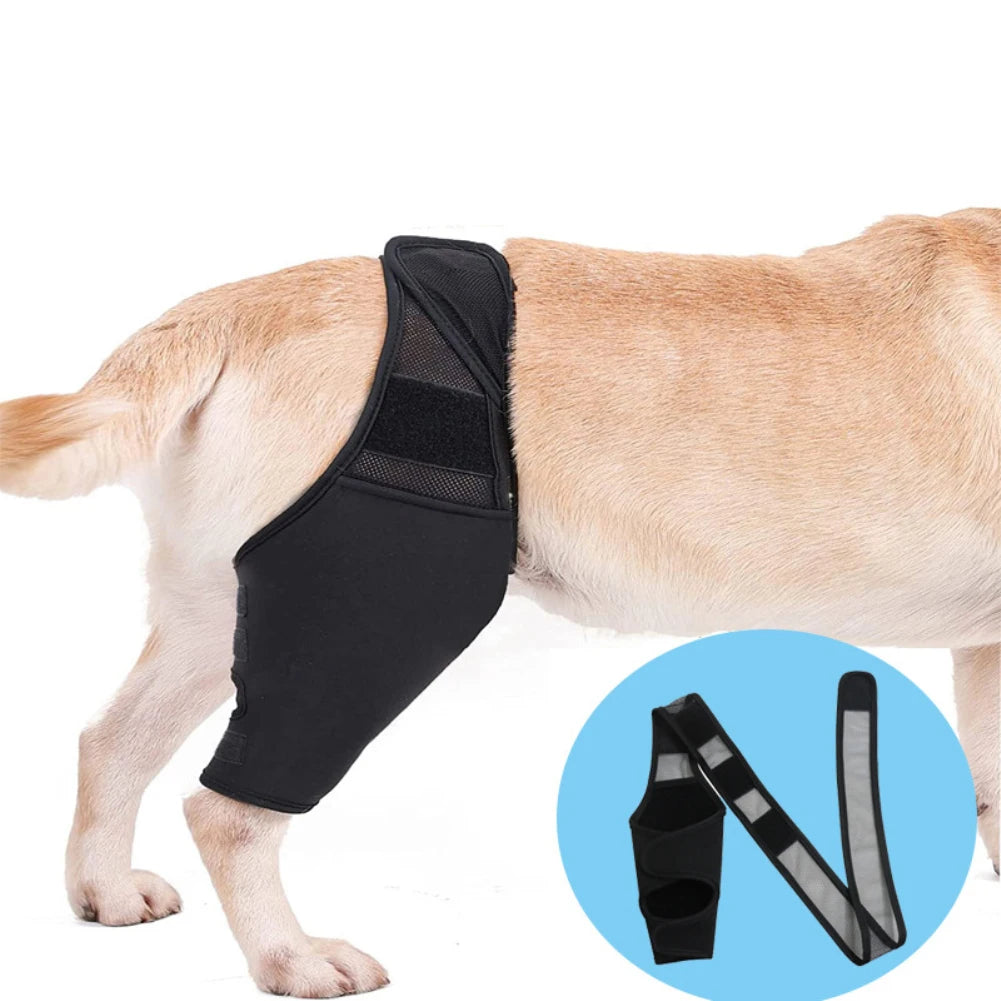 Supportive Dog Knee Brace for Injury & Recovery - Wags & Whiskers