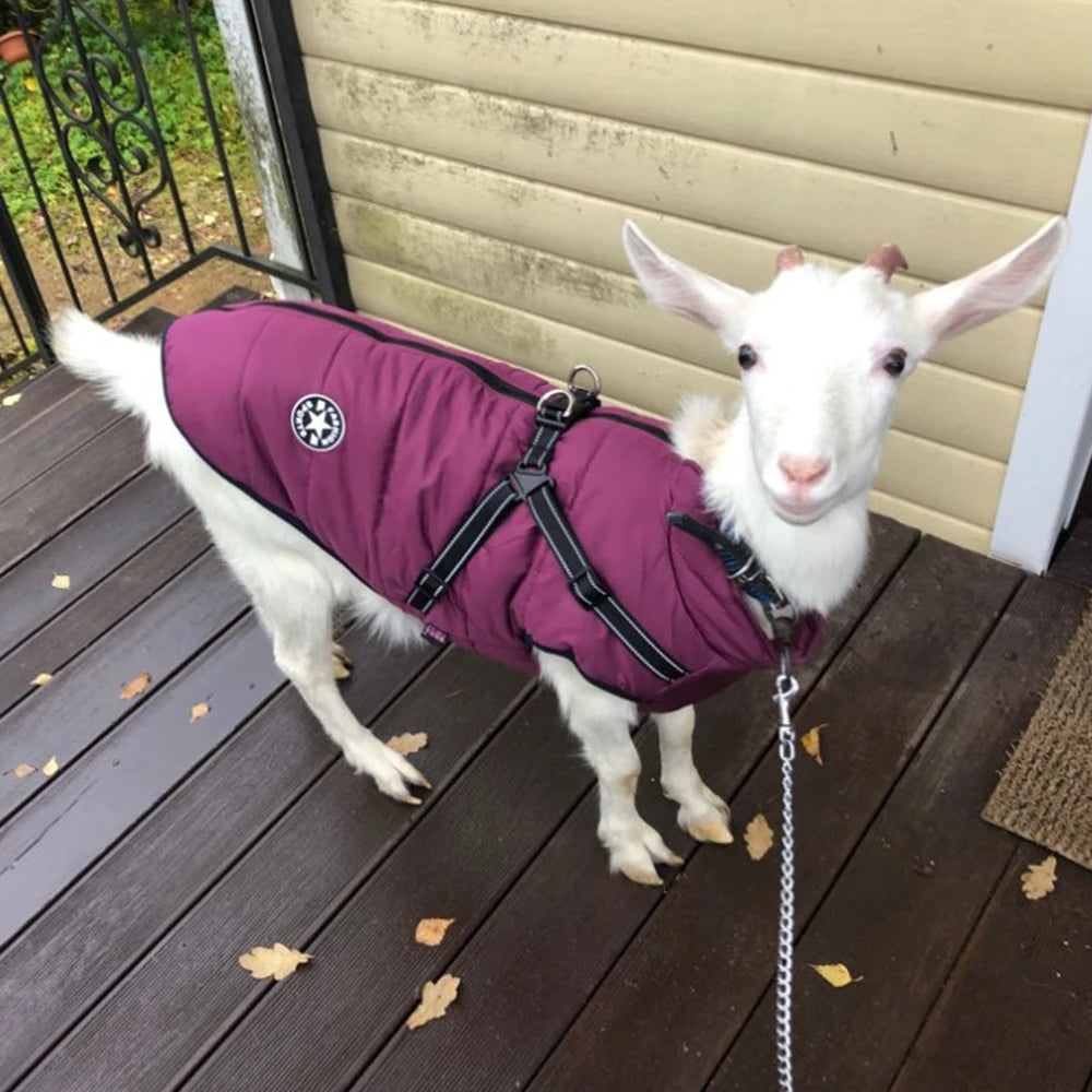 waterproof dog coat jacket goat