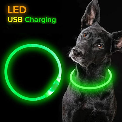 Shine Bright, Walk Safe: The Ultimate LED Glowing Dog/ Cat Collar ✨ - Wags & Whiskers