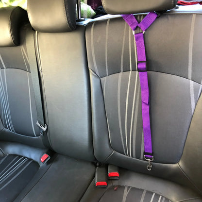 Keep Your Pet Secure & Comfy on the Go: The All-in-One Pet Car Seat Belt (Doesn't Occupy a Whole Seat!) - Wags & Whiskers